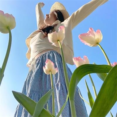 相思树