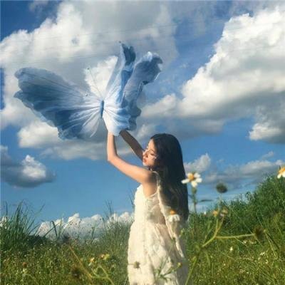 志愿军：浴血和平